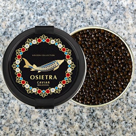 Caviar Osciètre Acipenser Gueldenstaedtii
