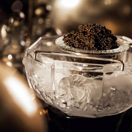 Caviar Beluga - Esturgeon Huso huso