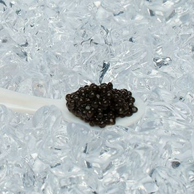 Caviar malossol d'esturgeon Baerii