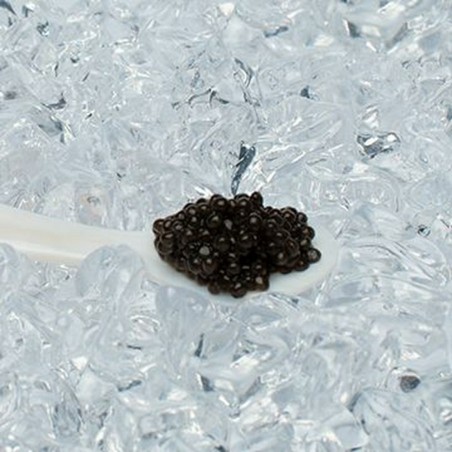 Caviar malossol d'esturgeon Baerii