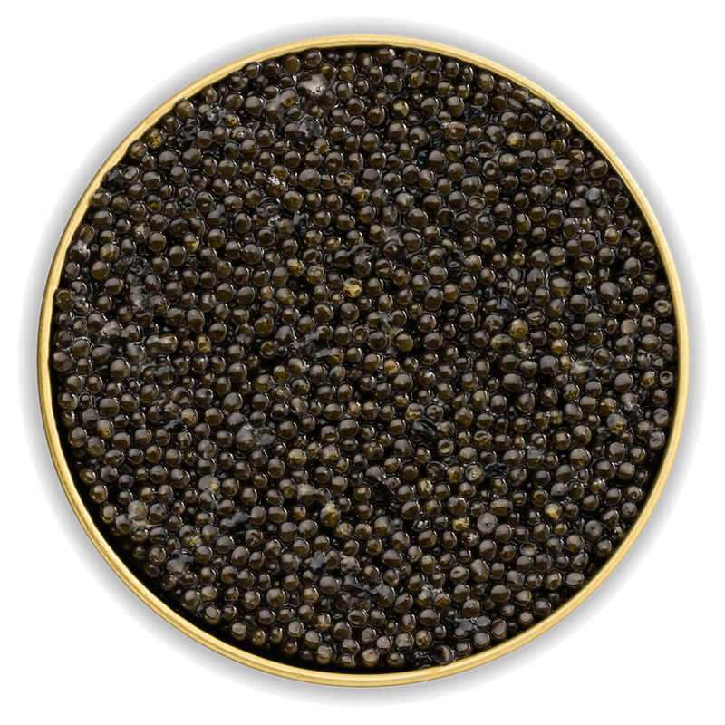 Caviar malossol d'esturgeon Baerii