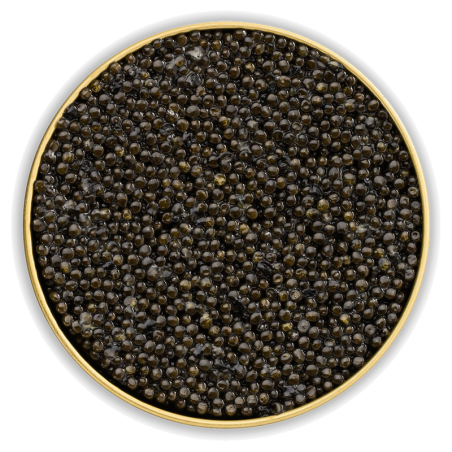 Caviar malossol d'esturgeon Baerii