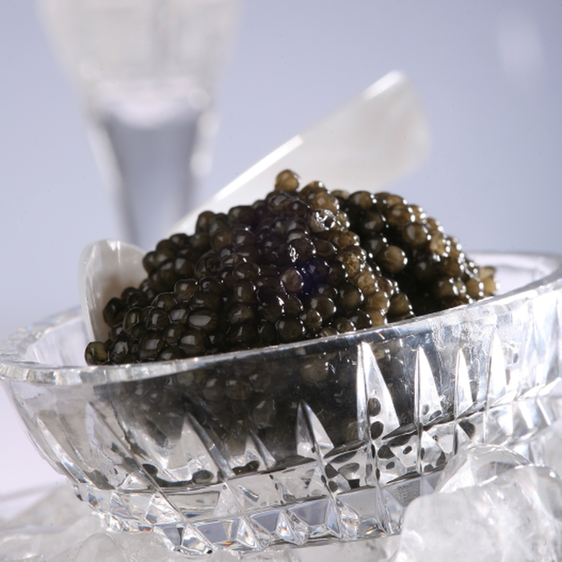 Caviar - Esturgeon Acipenser Baerii