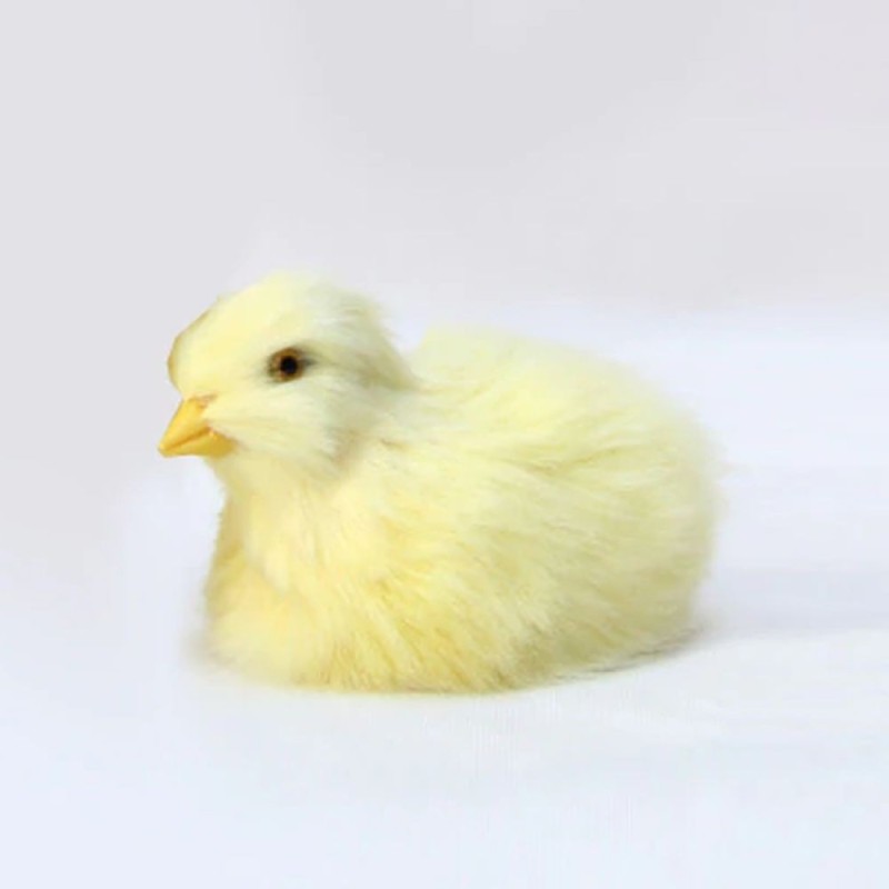 Poussin décoratif couché - 11 cm