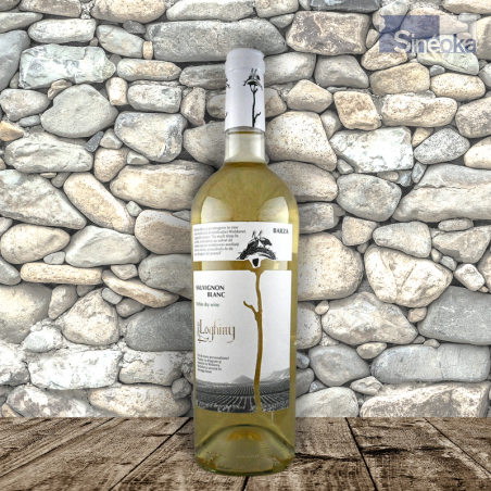 Excellent Sauvignon Moldave