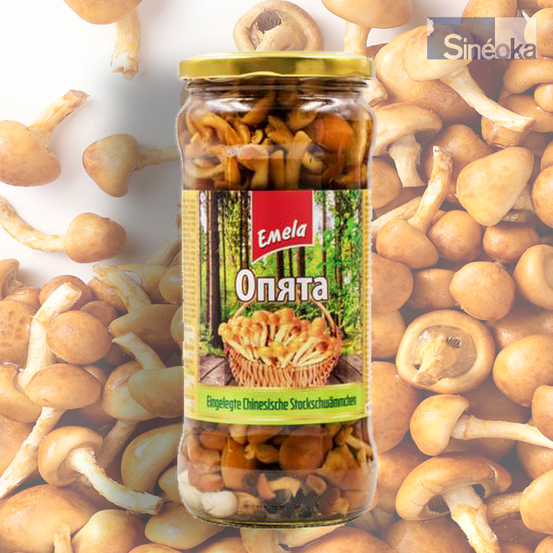 Pholiotes nameko marinées