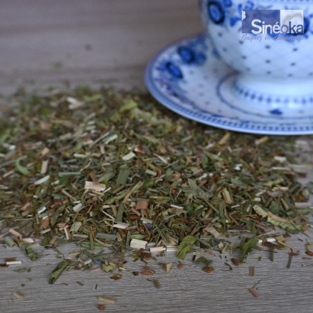 Infusion Bio Monts Rhodopes : Saveurs Digestives Authentiques