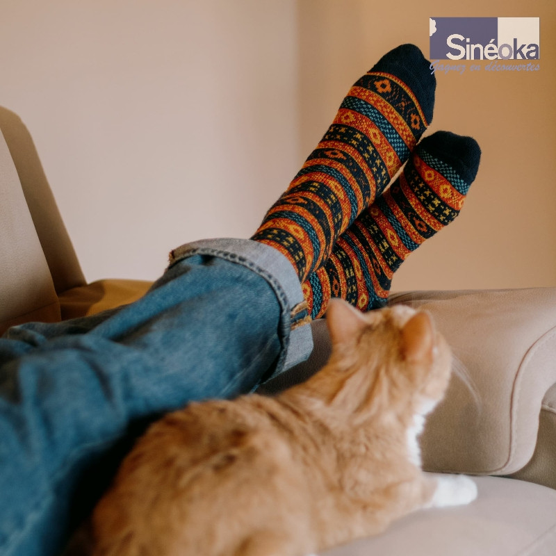 Un chat à côté de pieds en chaussettes Arvid