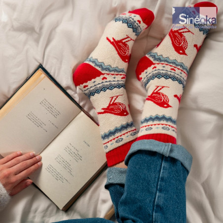 Chaussettes style scandinave Fugl avec un livre