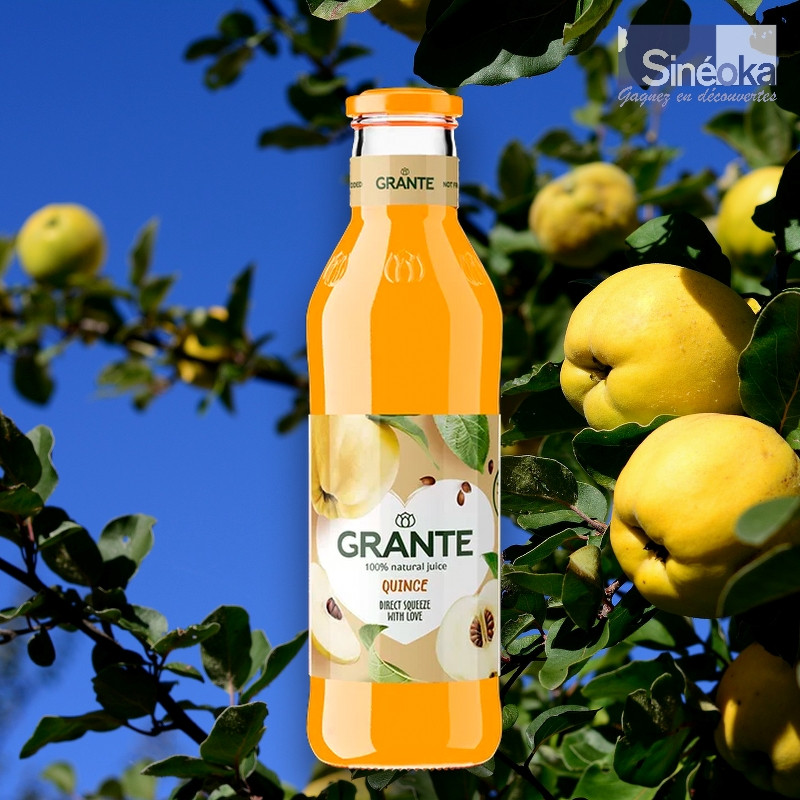 Pur jus de coing Grante avec fruits