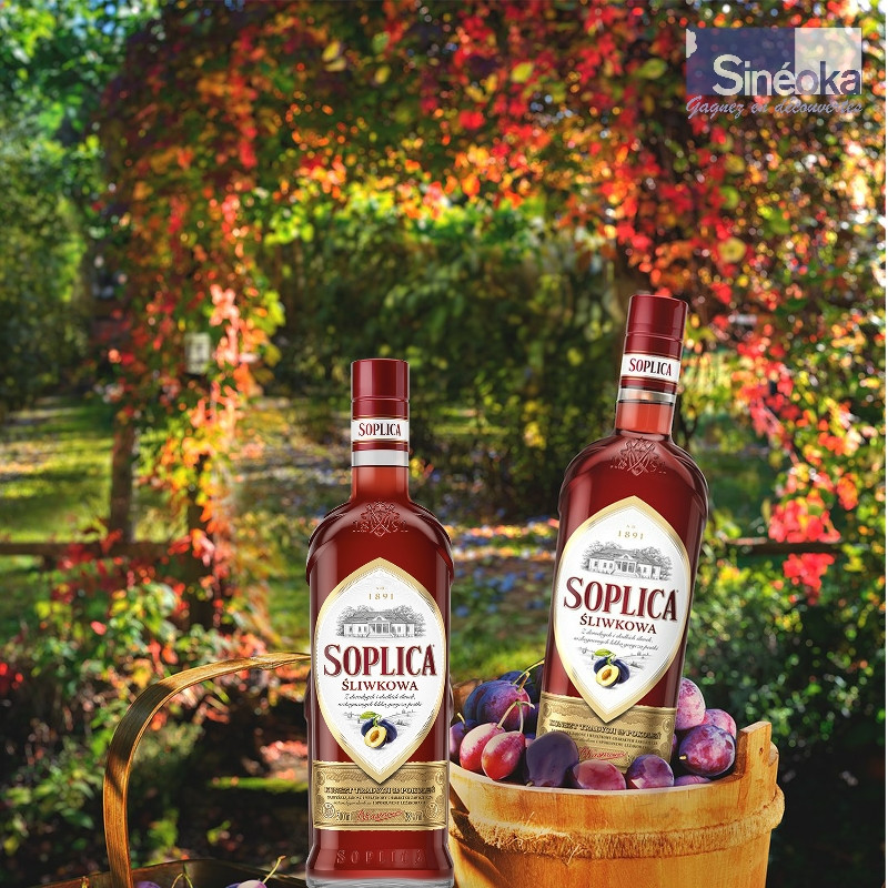 2 bouteilles de Soplica Prune, fond nature