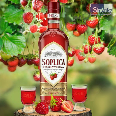 Soplica fraise avec fraisier