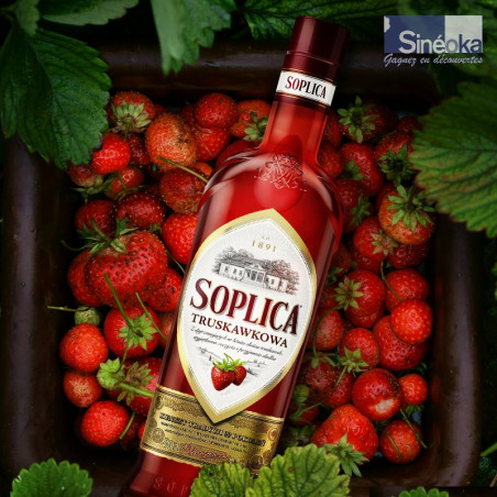 Soplica fraise, bouteille sur des fraises