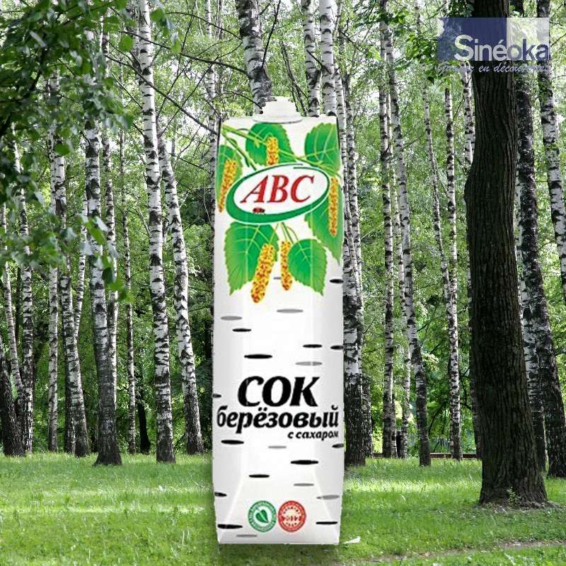 Tetrapak de sève de bouleau sur fond de bouleaux