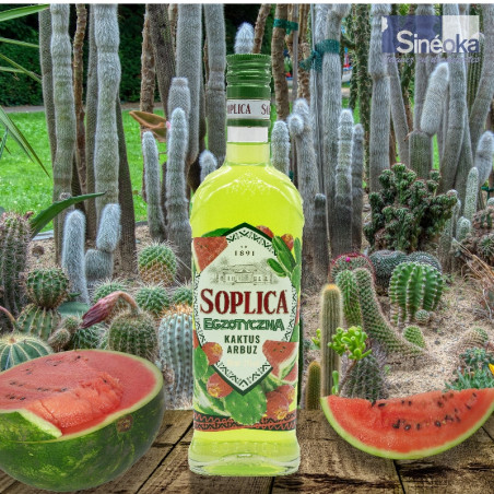 Soplica Cactus & Pastèque – Une liqueur de vodka exotique et audacieuse