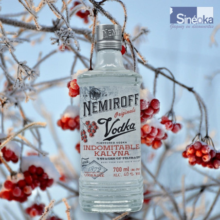 Bouteille de vodka Nemiroff Kalina fond de viorne en hiver.
