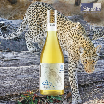 Hovaz - Vin blanc d'Arménie cépage Kangun 2