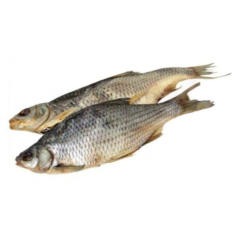 Gardon (Rutilus rutilus) non vidés, salés et...