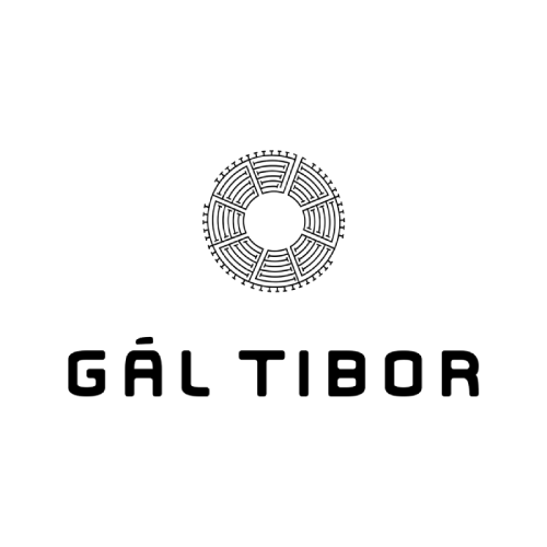 Gàl Tibor – L’exigence contemporaine d’Eger